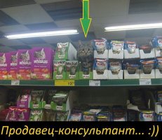 Продовец-консультант