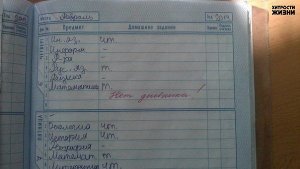 Нет дневника!