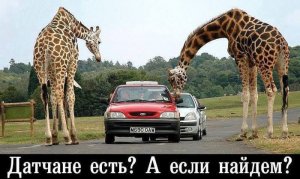 Датчане есть?