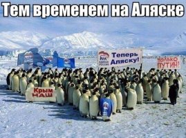 Референдум на Аляске